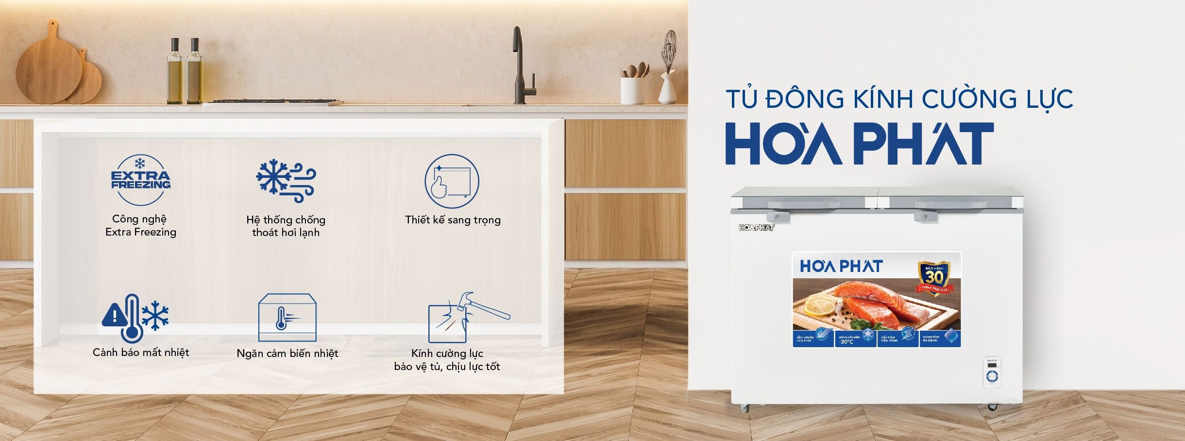 Tủ đông 2 ngăn đông mát Hòa Phát 245L HPF- BD6245.T1